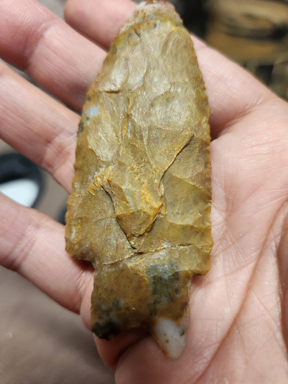 High Grade JESPERIZED Chert Brown Fossil Stone - Brown